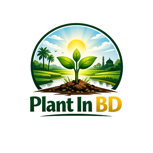 Plant In BD