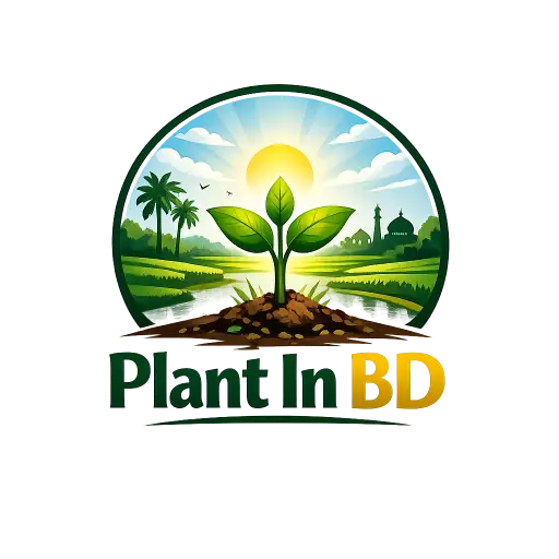 Plant In BD