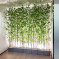 Golden Bamboo সোনালি বাঁশ - Image 2