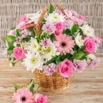 Flower Plants / ফুল গাছ