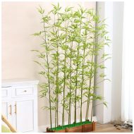 সোনালি বাঁশ গাছের চারা - Golden bamboo plant for sale in Bangladesh
