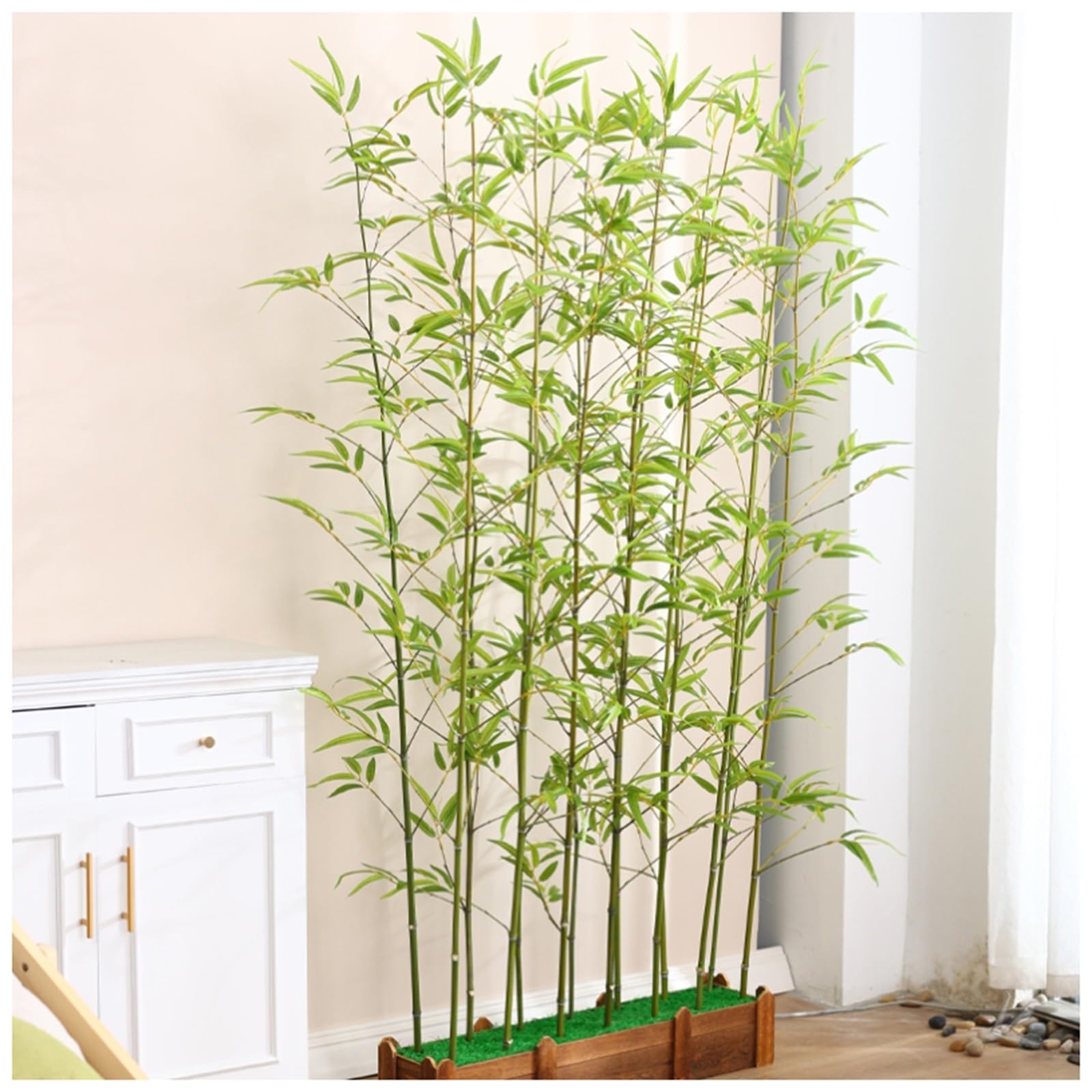 সোনালি বাঁশ গাছের চারা - Golden bamboo plant for sale in Bangladesh