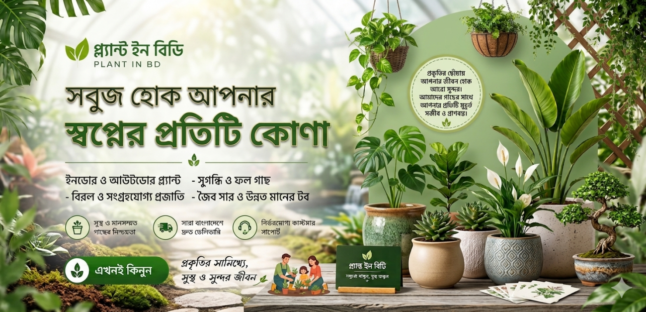 Buy Outdoor Plants Online in Bangladesh Plant In BD