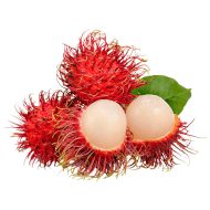 Rambutan Fruit Plant রাম্বুটান ফল গাছ - Image 2