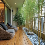 Golden Bamboo সোনালি বাঁশ - Image 3