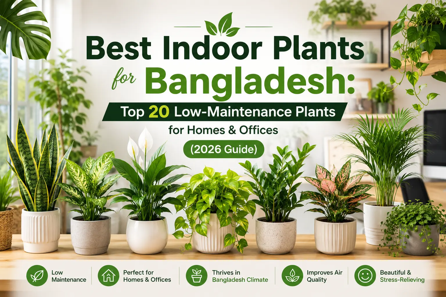 Best indoor plants for Bangladesh - top low-maintenance houseplants for homes and offices 2026, curated by Plant in BD