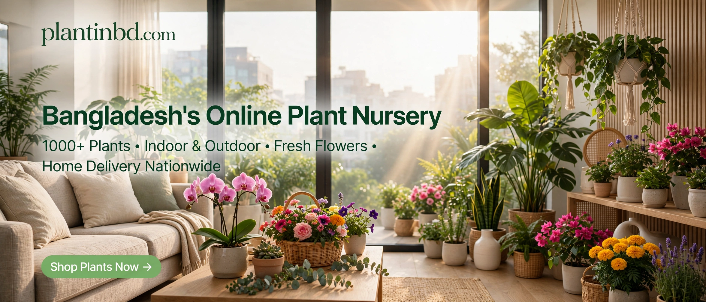 nurseryplantinbd